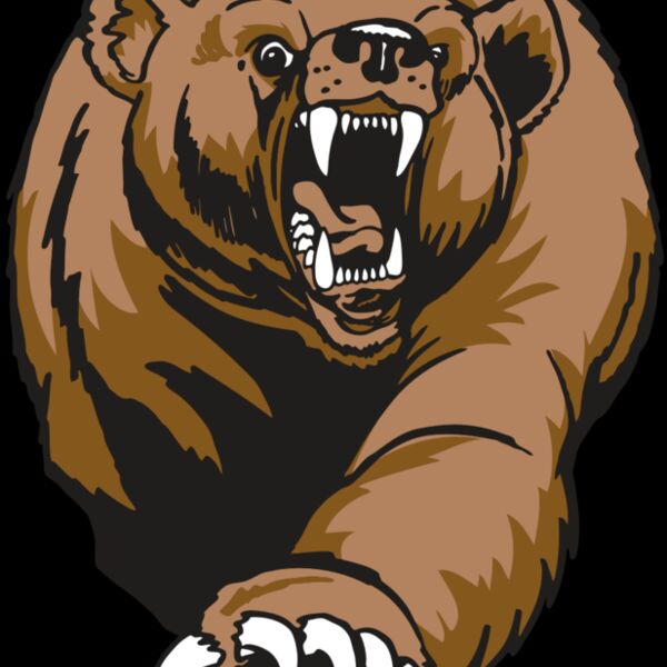 AR BEAR 74 RC Thumbnail